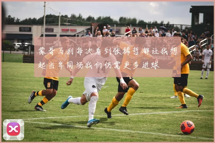蒙哥马利每次看到张稀哲都让我想起当年同场我们仍需更多进球
